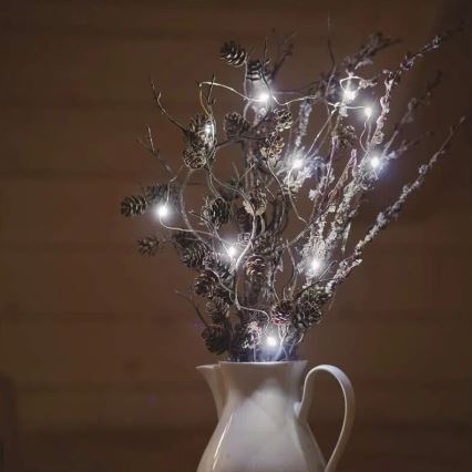 LED  γιρλάντα 20xLED/2xAA 2,4m ψυχρό λευκό