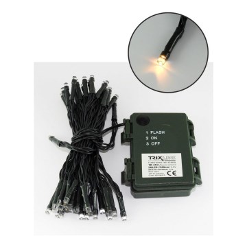 LED γιρλάντα εξωτερικού χώρου, 50 LED, 2 λειτουργίες, 5,4 m, IP44, θερμό λευκό