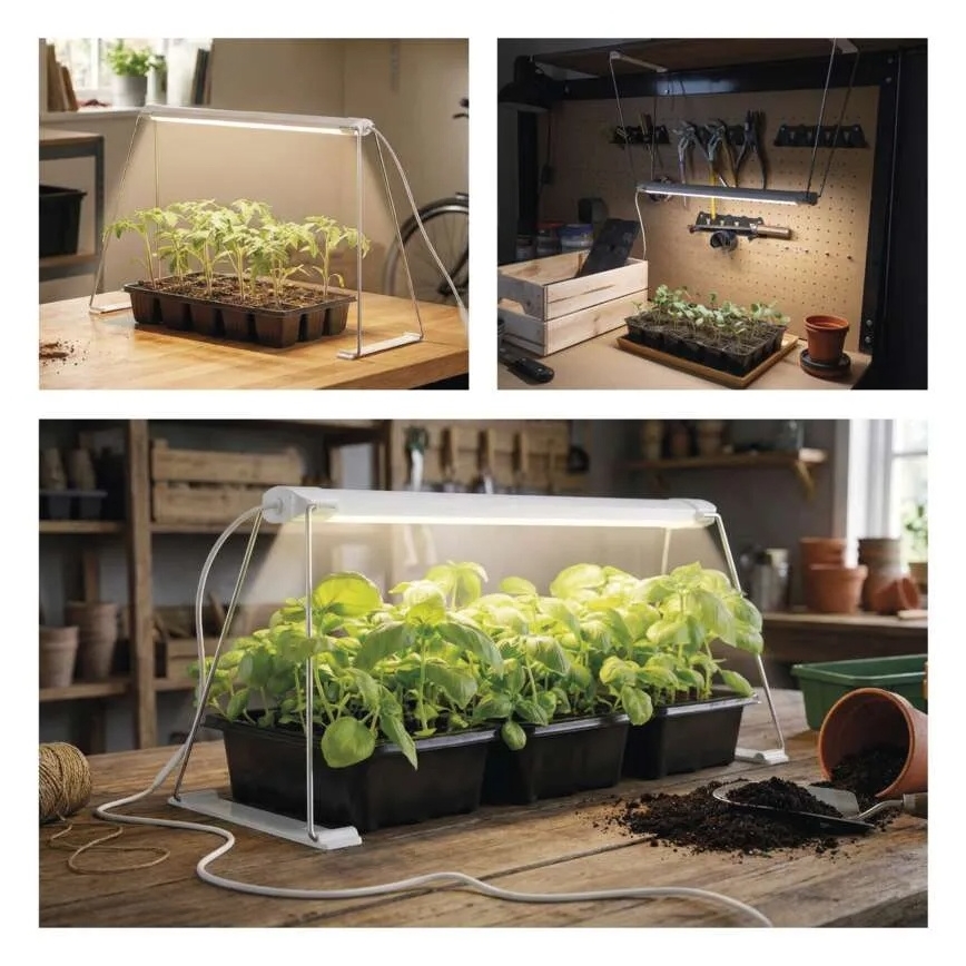 LED εσωτερικό φωτιστικό για την καλλιέργεια φυτών GROW LED/15W/230V