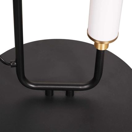 LED επιδαπέδιο φωτιστικό FELICJA LED/24W/230V 4000K μαύρο