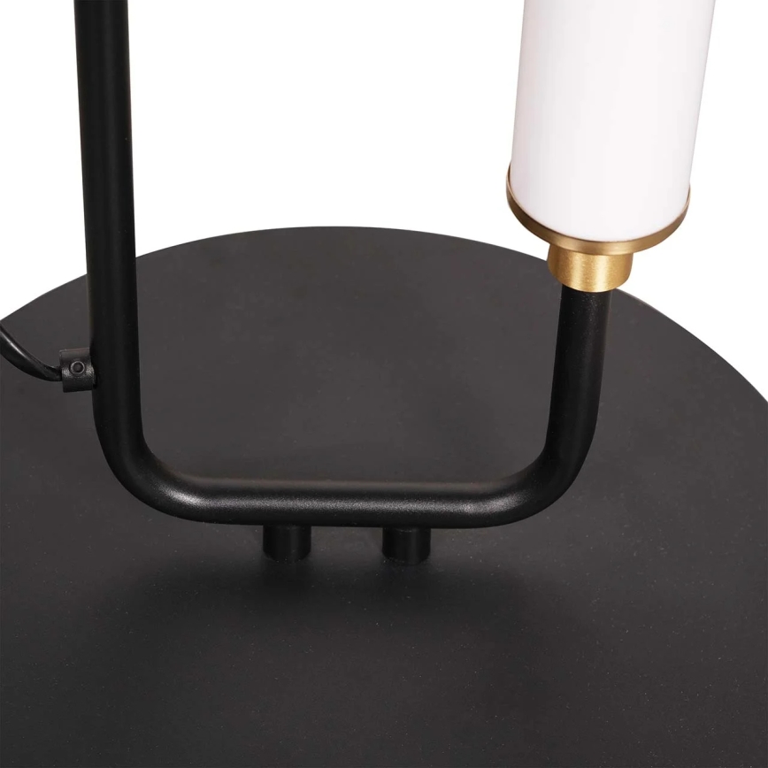 LED επιδαπέδιο φωτιστικό FELICJA LED/24W/230V 4000K μαύρο