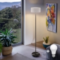 LED επιδαπέδιο φωτιστικό TUNJA 1xE27/20W/230V Ø 30 cm μαύρο/λευκό