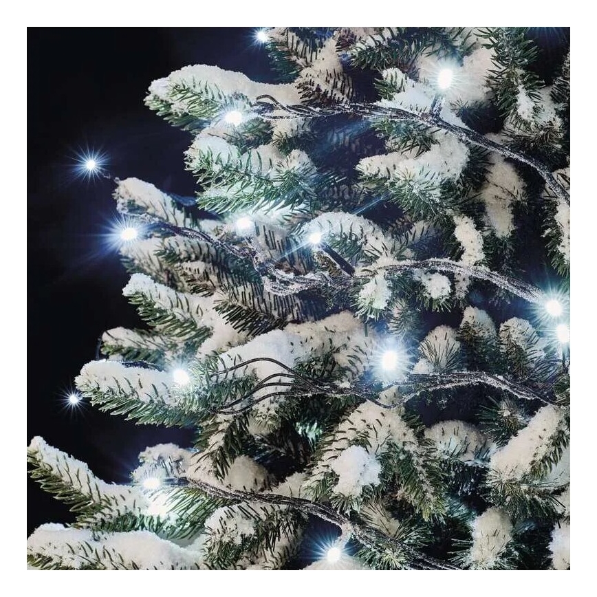 LED Εξωτερική γιρλάντα 50xLED/5m IP44 ψυχρό λευκό
