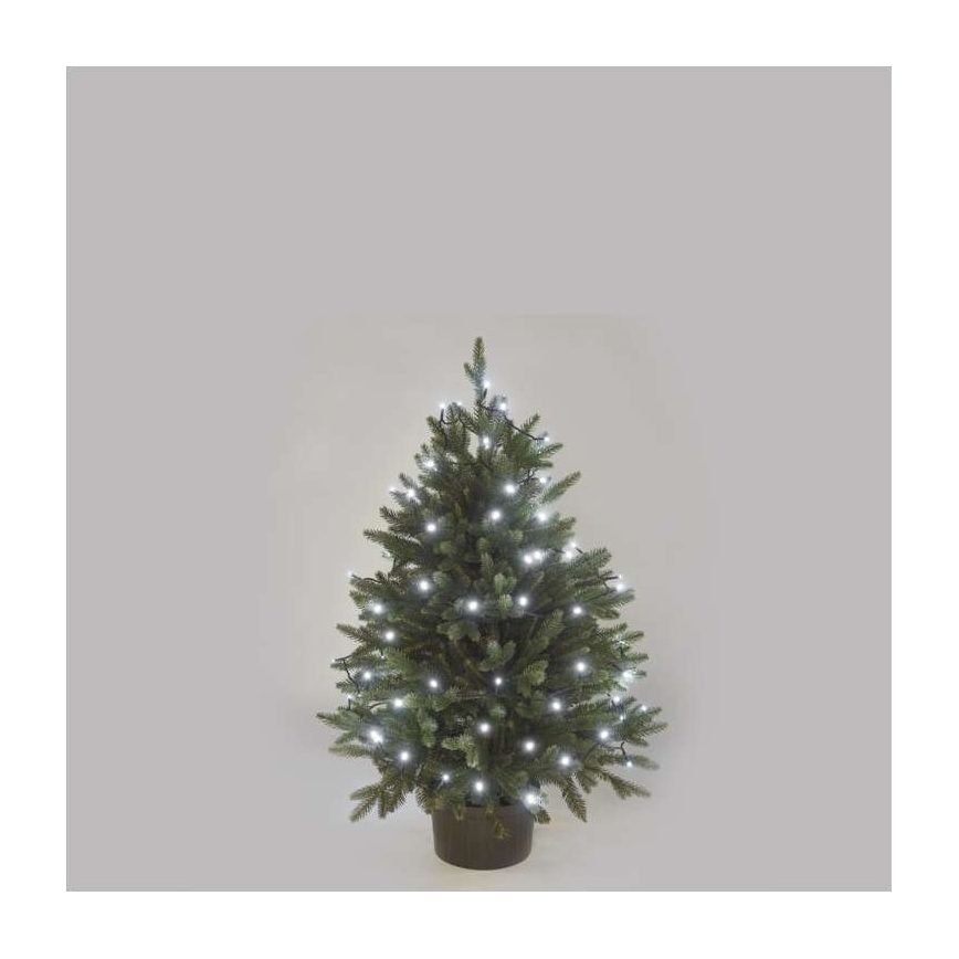 LED εξωτερική γιρλάντα 80xLED/13m IP44 ψυχρό λευκό