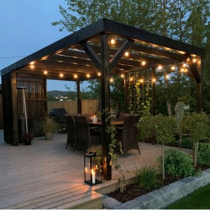 LED εξωτερική διακοσμητική αλυσίδα 20xE27/1W/230V 11,44 m IP44 μαύρη