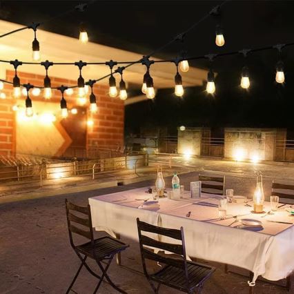 LED Εξωτερική διακοσμητική σειρά 20xE27/1W/230V 10 μ IP65 μαύρο