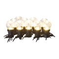 LED εξωτερική διακοσμητική γιρλάντα 10xLED/10m IP44 διάφανη