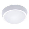 LED Εξωτερικό φωτιστικό οροφής LED/30W/230V  IP65