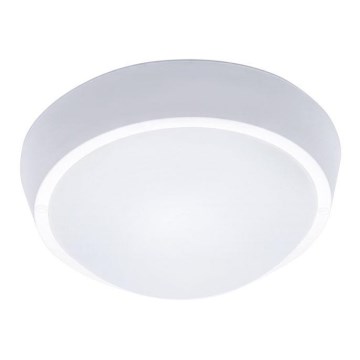 LED Εξωτερικό φωτιστικό οροφής LED/30W/230V  IP65