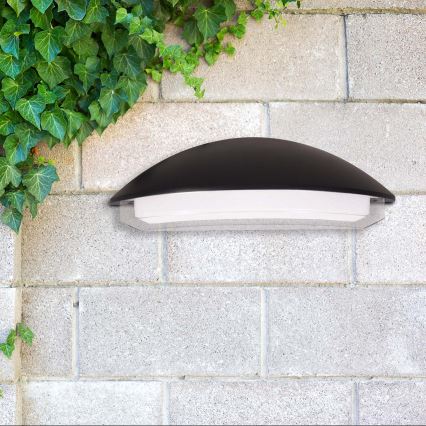 LED Εξωτερικό επιτοίχιο φωτιστικό ALABAMA LED/12W/230V IP54 μαύρο