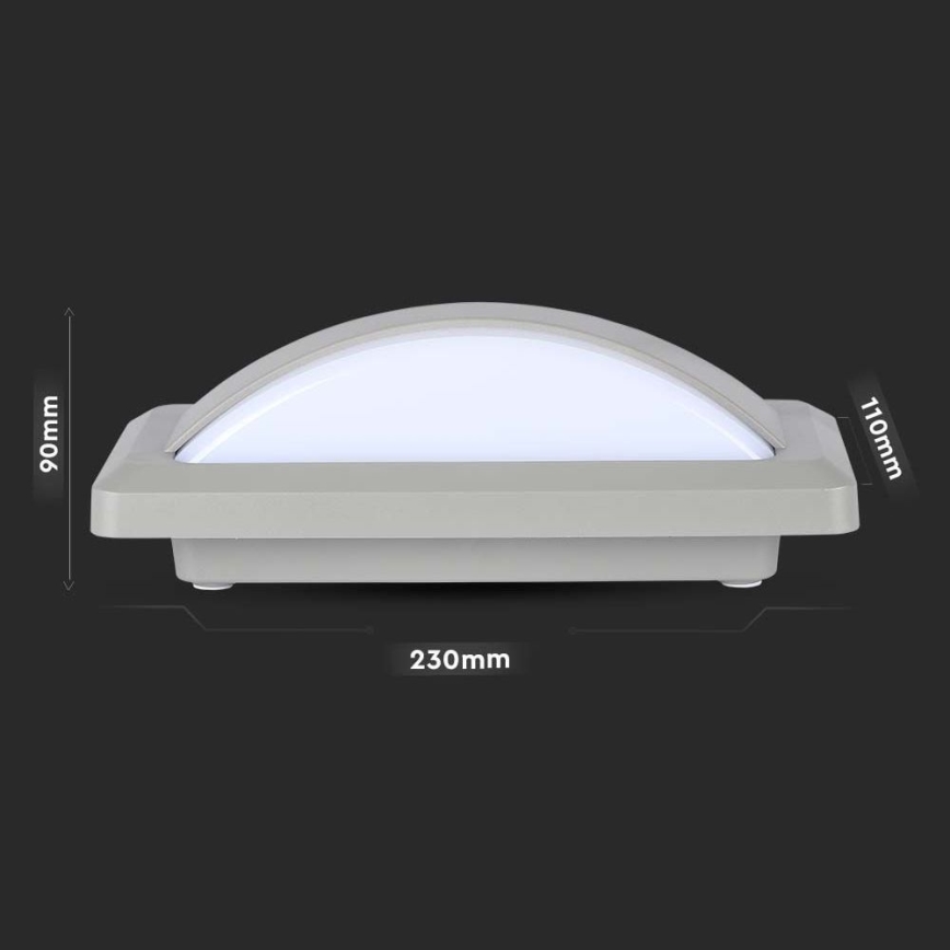 Εξωτερικό επιτοίχιο φωτιστικό LED/12W/230V 6400K IP65