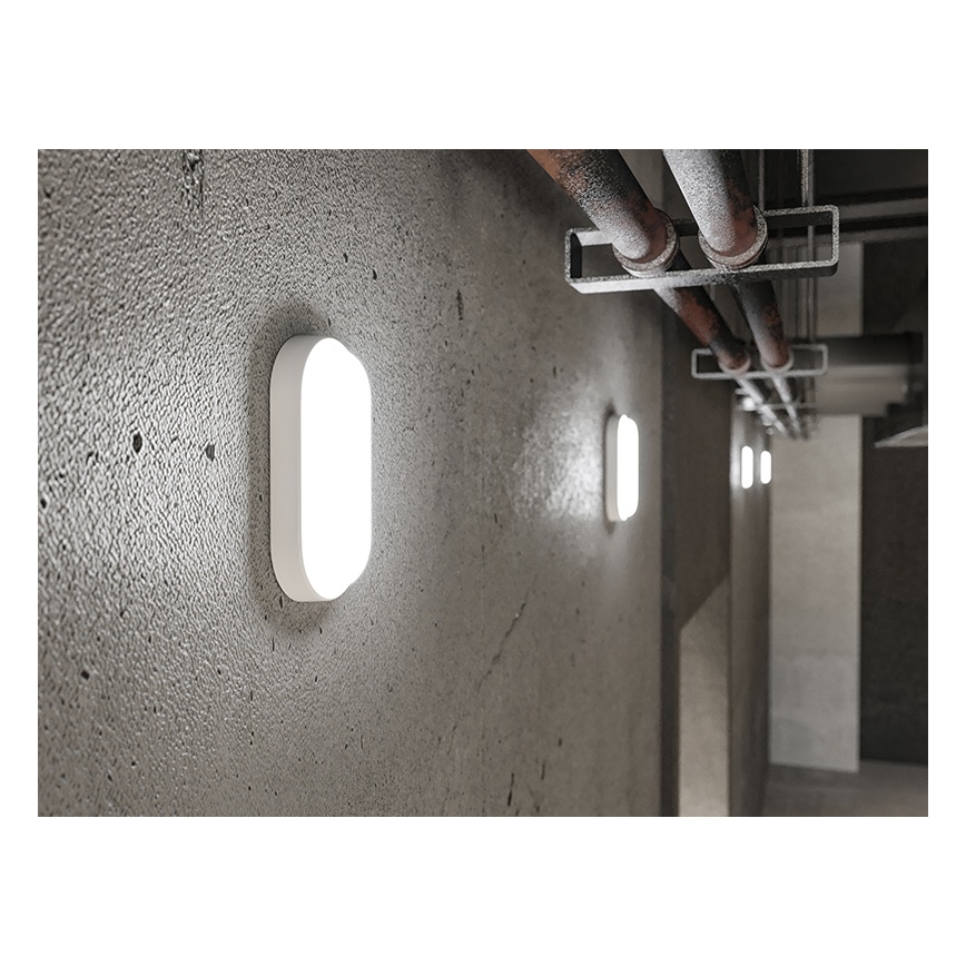 LED εξωτερικό επιτοίχιο φωτιστικό LED/12W/230V IP54 λευκό