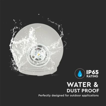 Εξωτερικό επιτοίχιο φωτιστικό LED/6W/230V 3000K IP65 γκρι