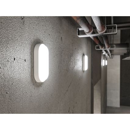 LED εξωτερικό επιτοίχιο φωτιστικό LED/6W/230V IP54 λευκό