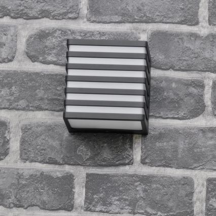 Εξωτερικό επιτοίχιο φωτιστικό LED MAXWELL LED/10W/230V IP54 ανθρακί