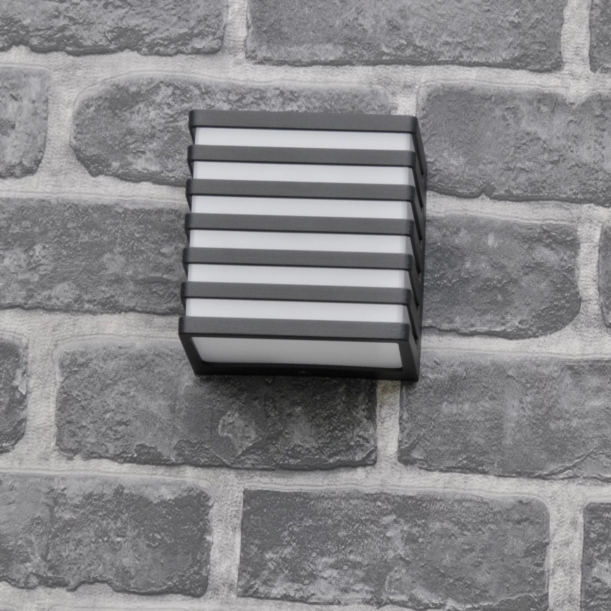 Εξωτερικό επιτοίχιο φωτιστικό LED MAXWELL LED/10W/230V IP54 ανθρακί