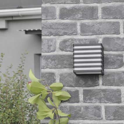 Εξωτερικό επιτοίχιο φωτιστικό LED MAXWELL LED/10W/230V IP54 ανθρακί