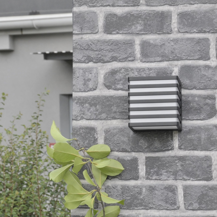 Εξωτερικό επιτοίχιο φωτιστικό LED MAXWELL LED/10W/230V IP54 ανθρακί