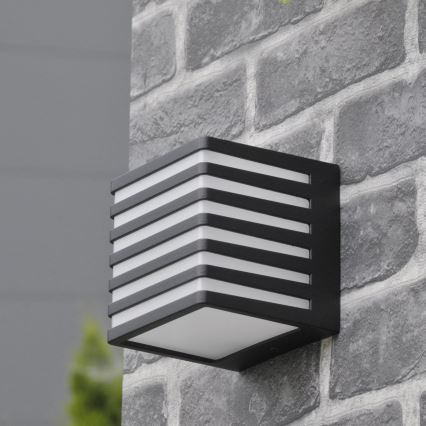 Εξωτερικό επιτοίχιο φωτιστικό LED MAXWELL LED/10W/230V IP54 ανθρακί
