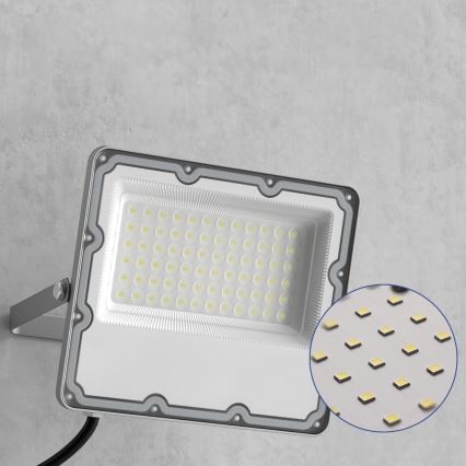 LED Εξωτερικός προβολέας LED/50W/230V 4500K IP65 γκρι
