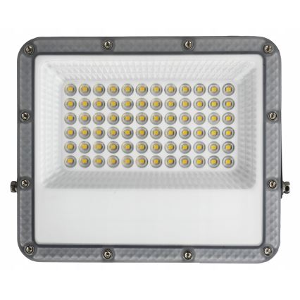 LED Εξωτερικός προβολέας LED/50W/230V 4500K IP65 γκρι