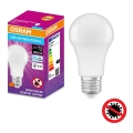 LED Αντιβακτηριδιακός λαμπτήρας A75 E27/10W/230V 6500K - Osram