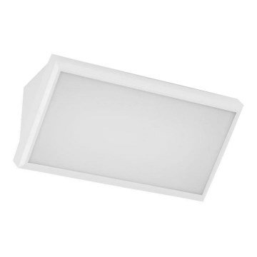 LED Εξωτερικό Επιτοίχιο Φωτιστικό LED/20W/230V 6400K IP65 λευκό