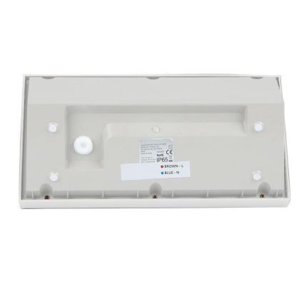LED Εξωτερικό Επιτοίχιο Φωτιστικό LED/20W/230V 6400K IP65 λευκό