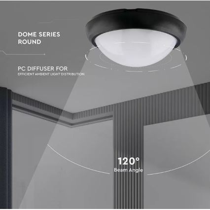 LED Εξωτερικό φωτιστικό οροφής LED/12W/230V IP54