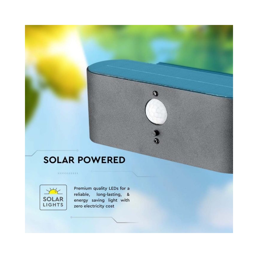 LED Εξωτερικού χώρου solar φωτιστικό τοίχου με αισθητήρα LED/2,5W/3,7V 3000K IP54