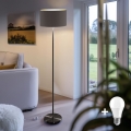 LED Επιδαπέδιο φωτιστικό TUNJA 1xE27/20W/230V διάμ. 38 cm μαύρο/καφέ