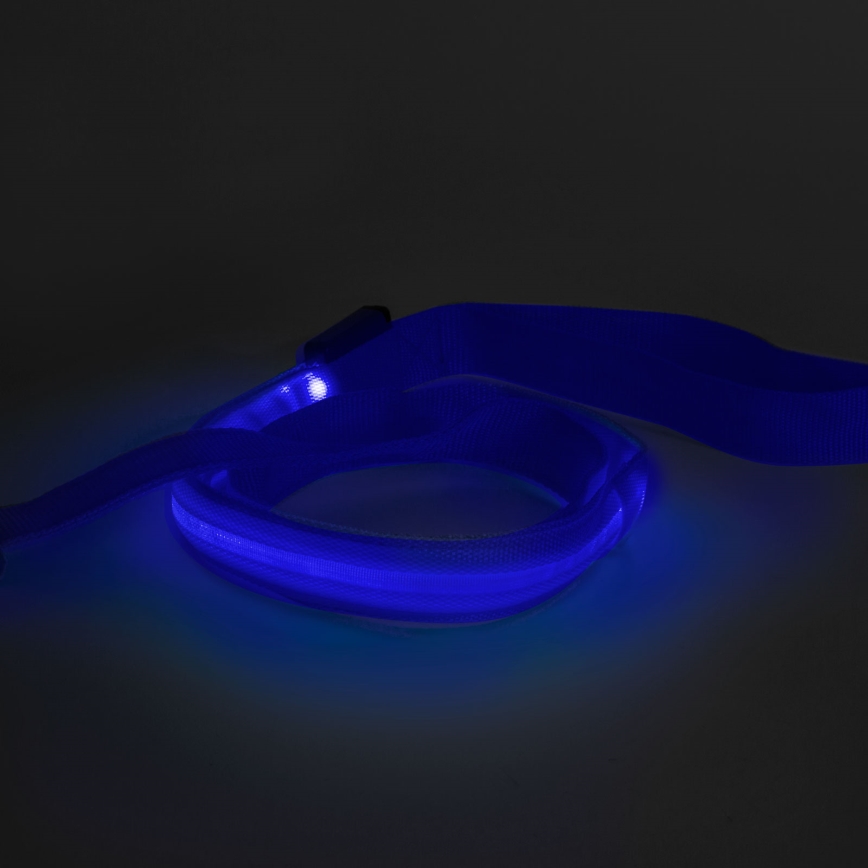 LED Φωτιζόμενο λουρί 120 εκ. 2xCR2032/5V/40 mAh μπλε