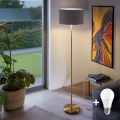 LED επιδαπέδιο φωτιστικό TUNJA 1xE27/20W/230V Ø 38 cm χρυσό/τάουπ