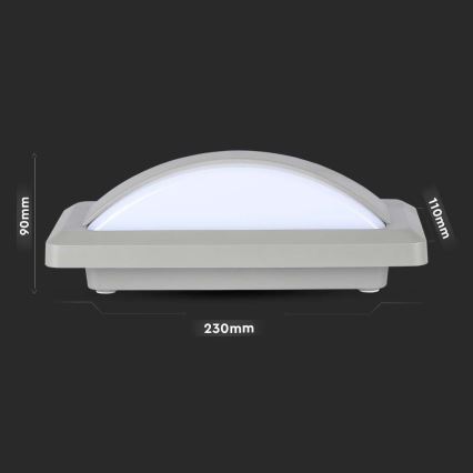 LED Επιτοίχιο φωτιστικό εξωτερικού χώρου LED/12W/230V 6400K IP65