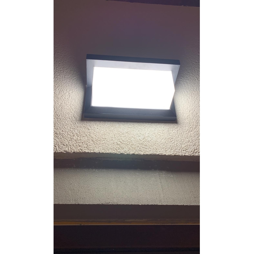 LED Επιτοίχιο φωτιστικό εξωτερικού χώρου LED/12W/230V IP54 μαύρο