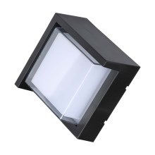 LED Επιτοίχιο φωτιστικό εξωτερικού χώρου LED/7W/230V IP65