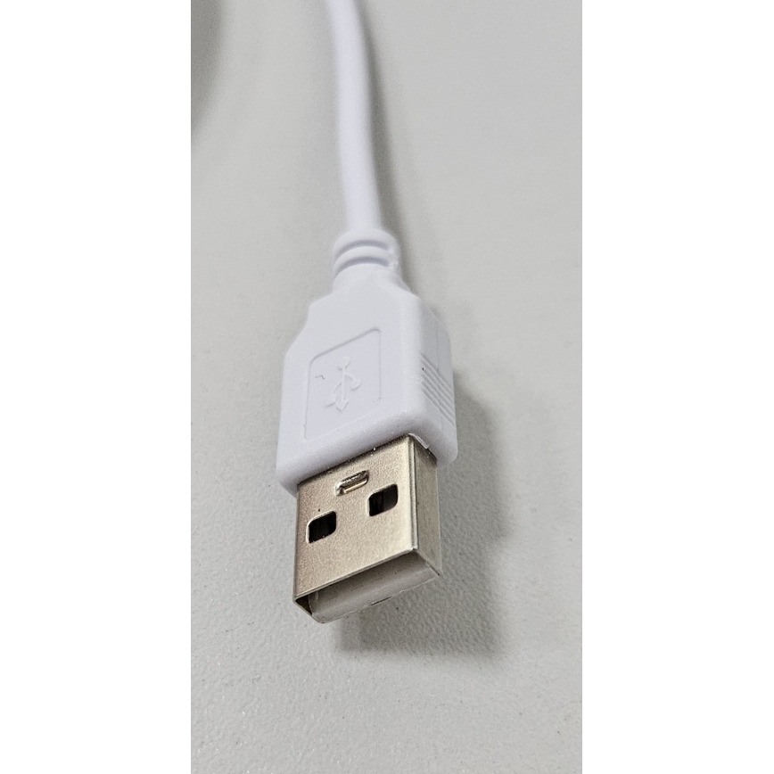 LED Εύκαμπτη ταινία NEON LED/5V USB 1,8 m λευκό