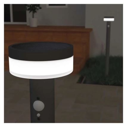 Ηλιακός λαμπτήρας LED με αισθητήρα LED/2W/3,7V 1200 mAh IP44 80 εκ.