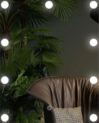 LED Καθρέπτης με φως 9xLED/1W/230V 3000/4000/6000K 50x40 cm IP44