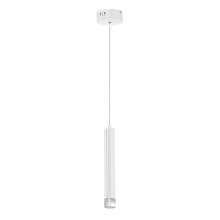 LED Κρεμαστό πολύφωτο ALBA 1xLED/5W/230V λευκό