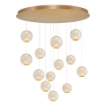 LED κρεμαστό φωτιστικό σε καλώδιο CREMONA 13xLED/5W/230V 3000K χρυσό