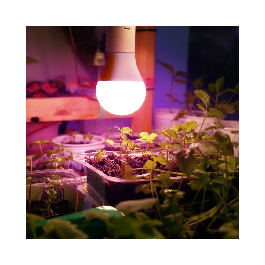 LED Λάμπα για την ανάπτυξη φυτών PLANTY E27/11W/230V 1200K λευκό