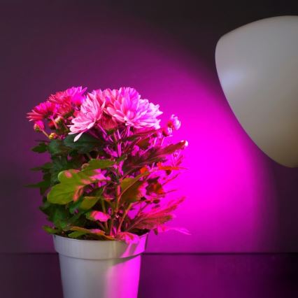LED Λάμπα για την ανάπτυξη φυτών PLANTY E27/11W/230V 1200K λευκό