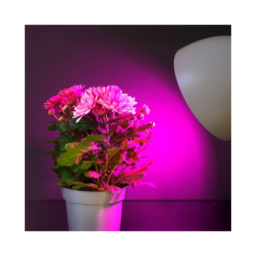LED Λάμπα για την ανάπτυξη φυτών PLANTY E27/11W/230V 1200K λευκό