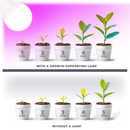 LED Λάμπα για την ανάπτυξη φυτών PLANTY E27/11W/230V 1200K λευκό