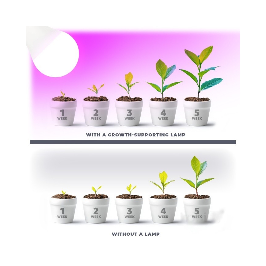 LED Λάμπα για την ανάπτυξη φυτών PLANTY E27/11W/230V 1200K λευκό