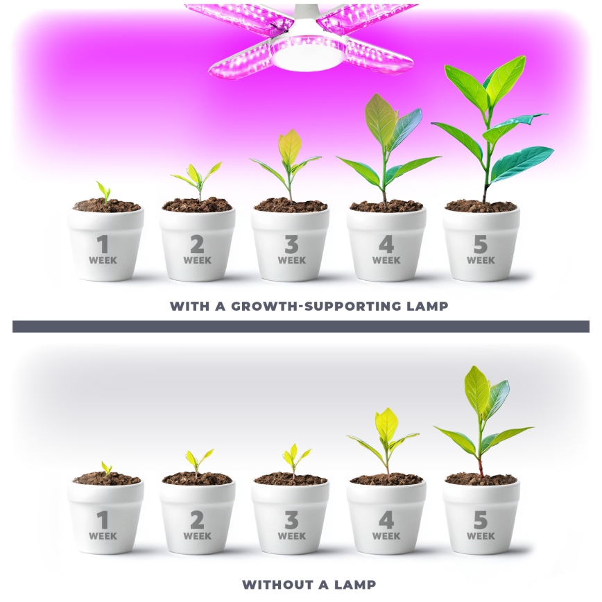 LED Λάμπα για την ανάπτυξη φυτών PLANTY E27/40W/230V 1200K