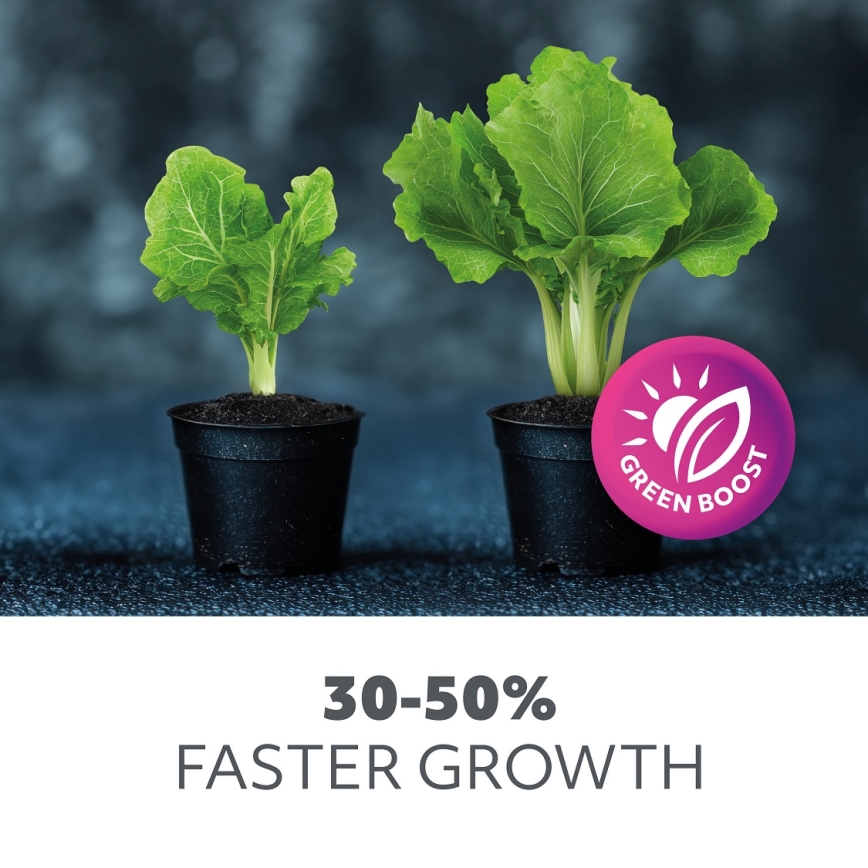 LED Λάμπα για την ανάπτυξη φυτών PLANTY E27/40W/230V 1200K