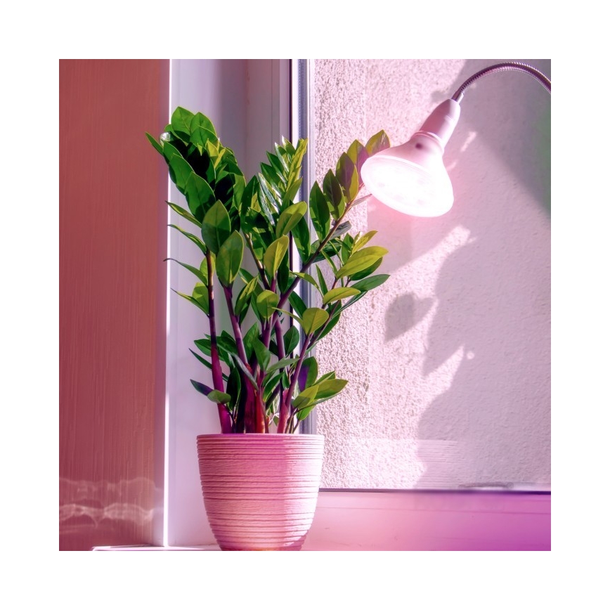 LED Λάμπα για την ανάπτυξη φυτών PLANTY E27/7W/230V 1200K λευκό