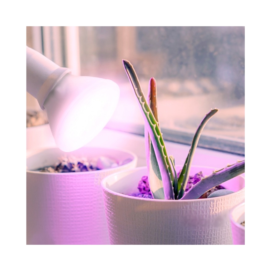 LED Λάμπα για την ανάπτυξη φυτών PLANTY E27/7W/230V 1200K λευκό